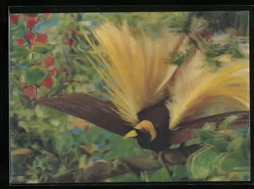 3D-AK gelb-schwarzer exotischer Vogel