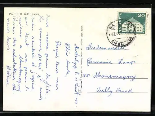 3D-AK Wilde Enten an einem Gewässer