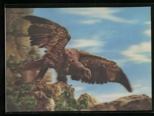 3D-AK Eagle, Adler auf einem Fels