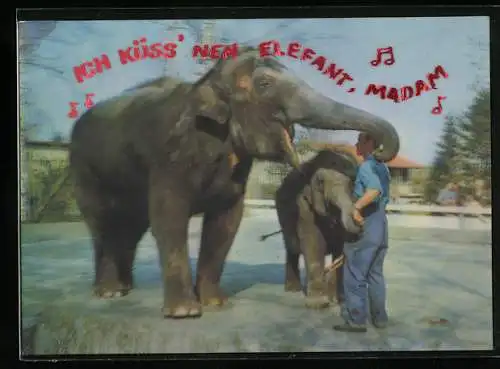 3D-AK Indische Elefanten im Zoo