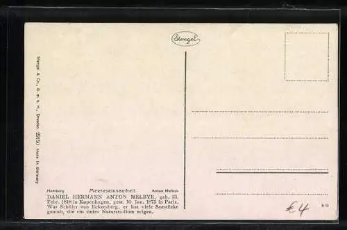 Künstler-AK Stengel & Co. Nr. 29450: Meereseinsamkeit, Möwe