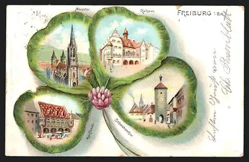Passepartout-Lithographie Freiburg / Breisgau, Ansichten von Rathaus, Münster und Kaufhaus auf Kleeblatt