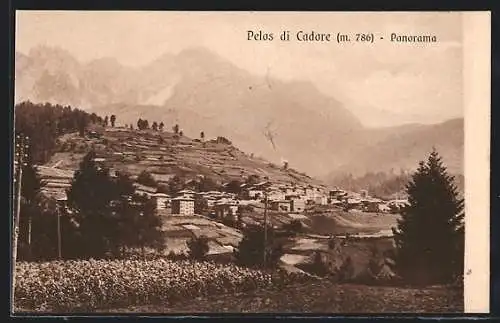 AK Pelos di Cadore, Gesamtansicht in den Bergen