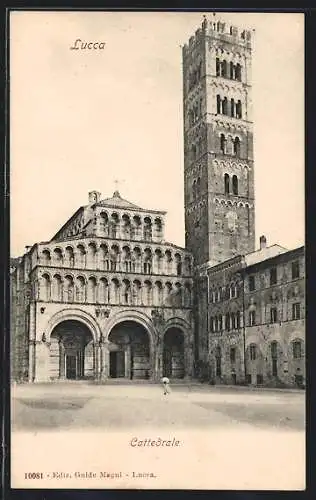 AK Lucca, Cattedrale
