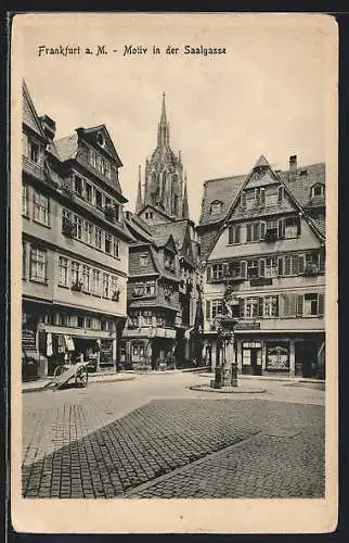 AK Alt-Frankfurt, Motiv in der Saalgasse