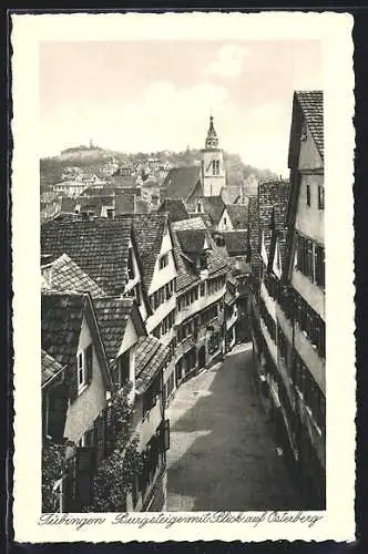 AK Tübingen, Burgsteige mit Blick auf Osterberg