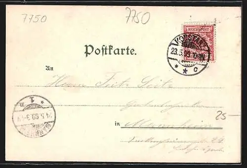 Lithographie Konstanz, Landungssteg, Der neue Kaiserbrunnen, Münster, Schloss Meinau