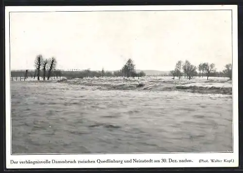 AK Quedlinburg, Hochwasser der Bode Dezember 1925, Dammbruch zwischen Quedlinburg und Neinstedt