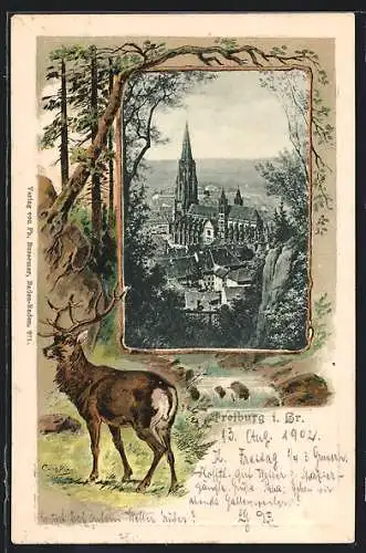 Passepartout-Lithographie Freiburg i. Br., Münster aus der Vogelschau, kapitaler Hirsch