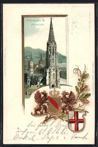 Passepartout-Lithographie Freiburg / Breisgau, Münster, Wappen