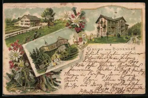 Vorläufer-Lithographie Bregenz /Bodensee, 1895, Gasthaus zur Traube an der Fluh, Gebhardsberg