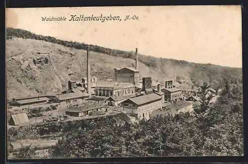 AK Kaltenleutgeben /N.-Oe., Waldmühle aus der Vogelschau