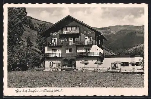 AK Zell am See, Thumersbach, Gasthof Ziegler mit Terrasse