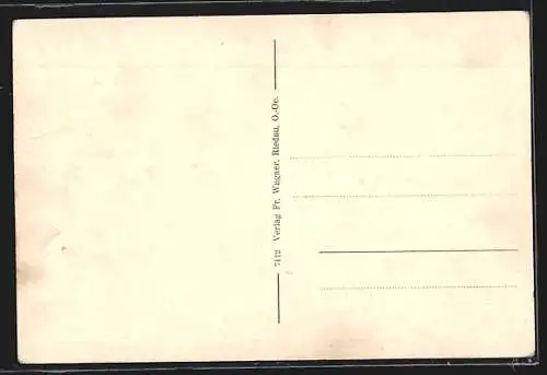 AK Riedau /Ob.-Oest., Strassenpartie mit Häusern, Ortsansicht aus der Vogelschau