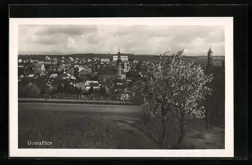 AK Domazlice, Panorama