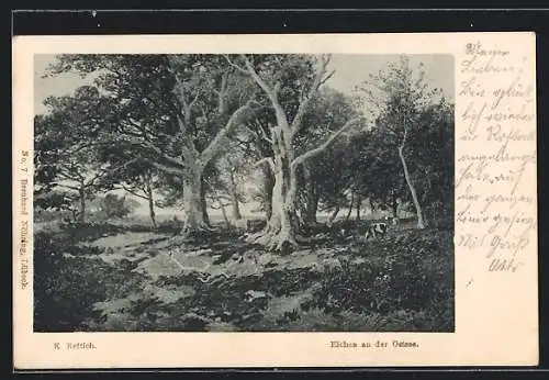 Künstler-AK Lübeck-Niendorf, Eichen an der Ostsee, Parkpartie mit Kühen