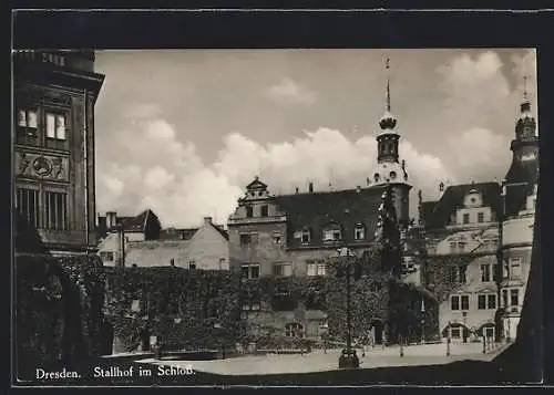 AK Dresden, Stallhof im Schloss