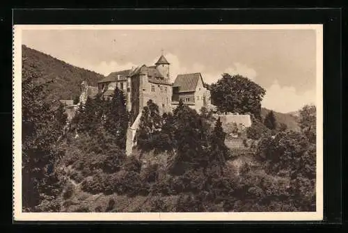 AK Neuerburg i. d. Eifel, Burg Neuerburg