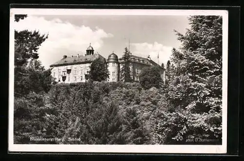 AK Blankenburg /Harz, Blick auf das Schloss