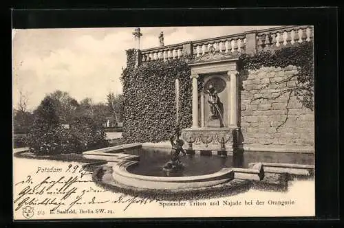 AK Potsdam, Schloss Sanssouci, Orangerie mit Speiendem Triton und Najade