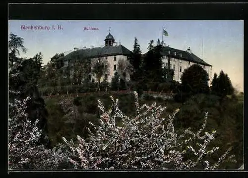 AK Blankenburg i. H., Blick zum Schloss