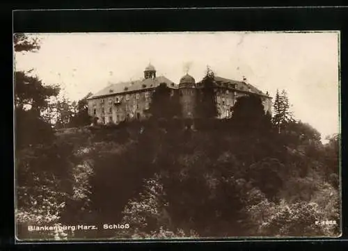AK Blankenburg /Harz, Schloss