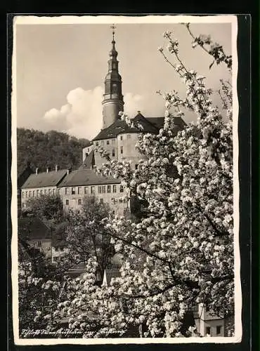 AK Weesenstein, Schloss Weesenstein im Frühling