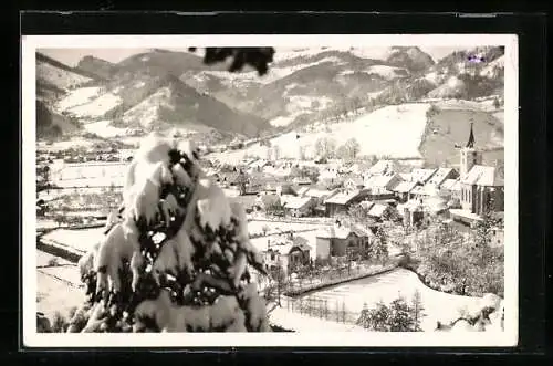 AK Türnitz, Ortsansicht im Winter