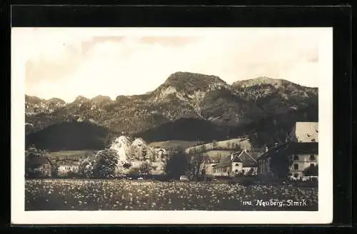 AK Neuberg /Stmrk., Ortsansicht mit Blumenwiese