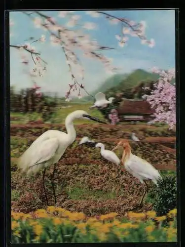 3D-AK Reiher auf Wiese mit Kirschblüten