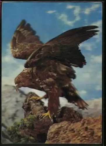 3D-AK Adler auf einem Fels