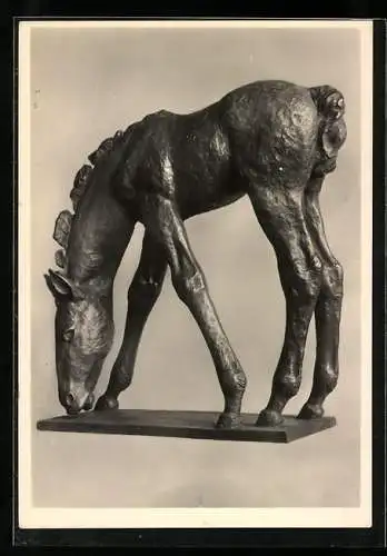 AK Bronzestatue Weidendes Fohlen 1929, Renée Sintenis