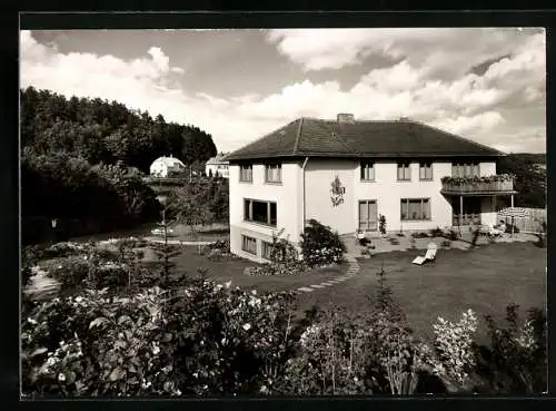 AK Bad Driburg am Teutoburger Wald, Fremdenheim Haus Ingeborg, Steinbergstieg