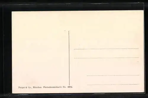 AK Millstatt a. See., Ortsansicht vom Berg aus