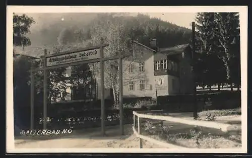 AK Kleinzell /N.-Ö., Erholungskolonie Salzerbad