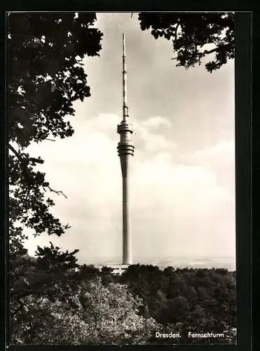 AK Dresden-Wachwitz, Blick zum Fernsehturm