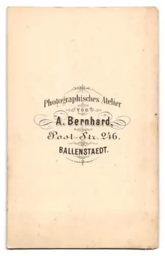 Fotografie A. Bernhard, Ballenstaedt, Post-Str. 246, Gemälde einer ältere Dame in Tracht