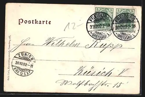 AK Freiburg i. Br., Martinsthor, Schwabenthor und Kaufhaus in Neujahrs-Passepartout 1903