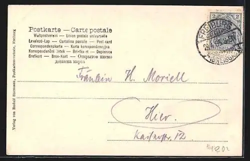 AK Freiburg i. Br., Kirchen und Strassenpartien in Neujahrs-Passepartout 1905
