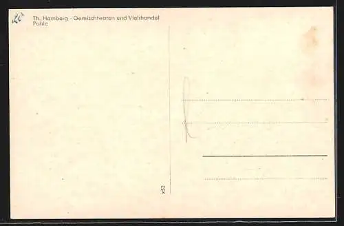 AK Pohle, Geschäftshaus Homberg, Ehrenmal, Schule, Strassenpartie in der Siedlung