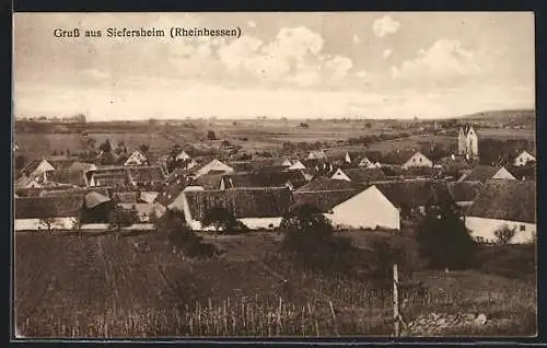 AK Siefersheim /Rheinhessen, Teilansicht mit Kirche