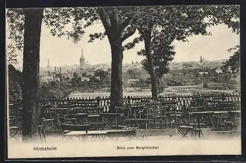 AK Hildesheim, Blick vom Cafe Berghölzchen auf den Ort