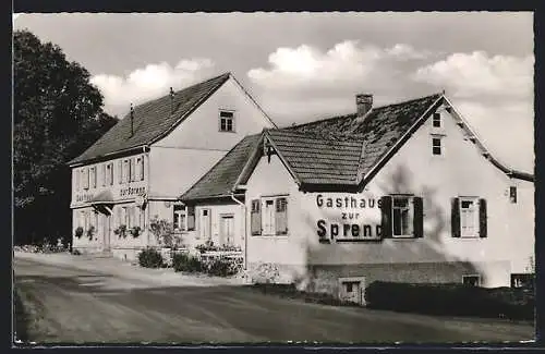 AK Reinheim /Odenw., Gasthaus u. Pension Zur Spreng i. Odw., Bes. W. Schwinn