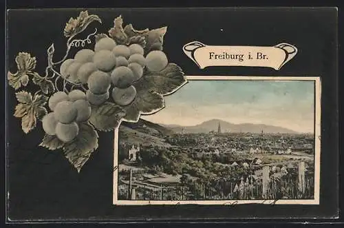 AK Freiburg i. Br., Stadtansicht und Passepartout mit Weintrauben