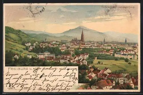 Lithographie Freiburg i. B., Totale vom Jägerhaus aus gesehen