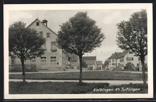 AK Kolbingen /Kr. Tuttlingen, Strassenpartie mit Wohnhäusern