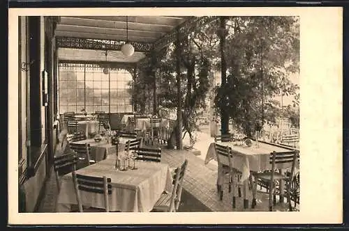 AK Rüdesheim a. Rh., Hotel Jung, Rhein-Terrasse, Teilansicht