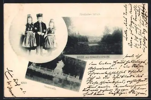 AK Donaueschingen, Fürstliches Schloss und die Donauquelle