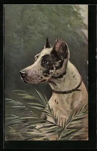 Künstler-AK August Müller - München: Jagdhund hinter Palmenzweigen