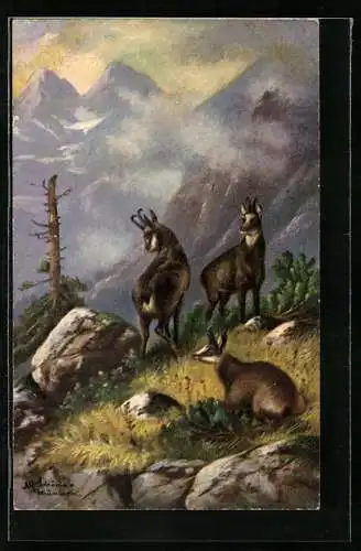 Künstler-AK Alfred Schönian: Gemsen in Berglandschaft